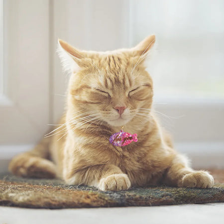 Matrita din silicon -pandantive si medalioane animale